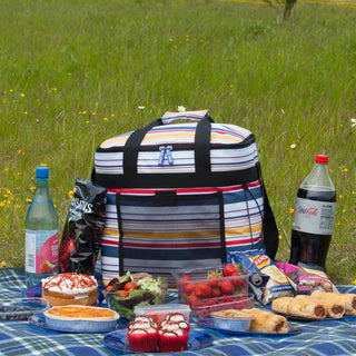 Icemax Picnic Coolbag - Cabin Max